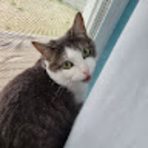 Meet your Posher, Kalleigh